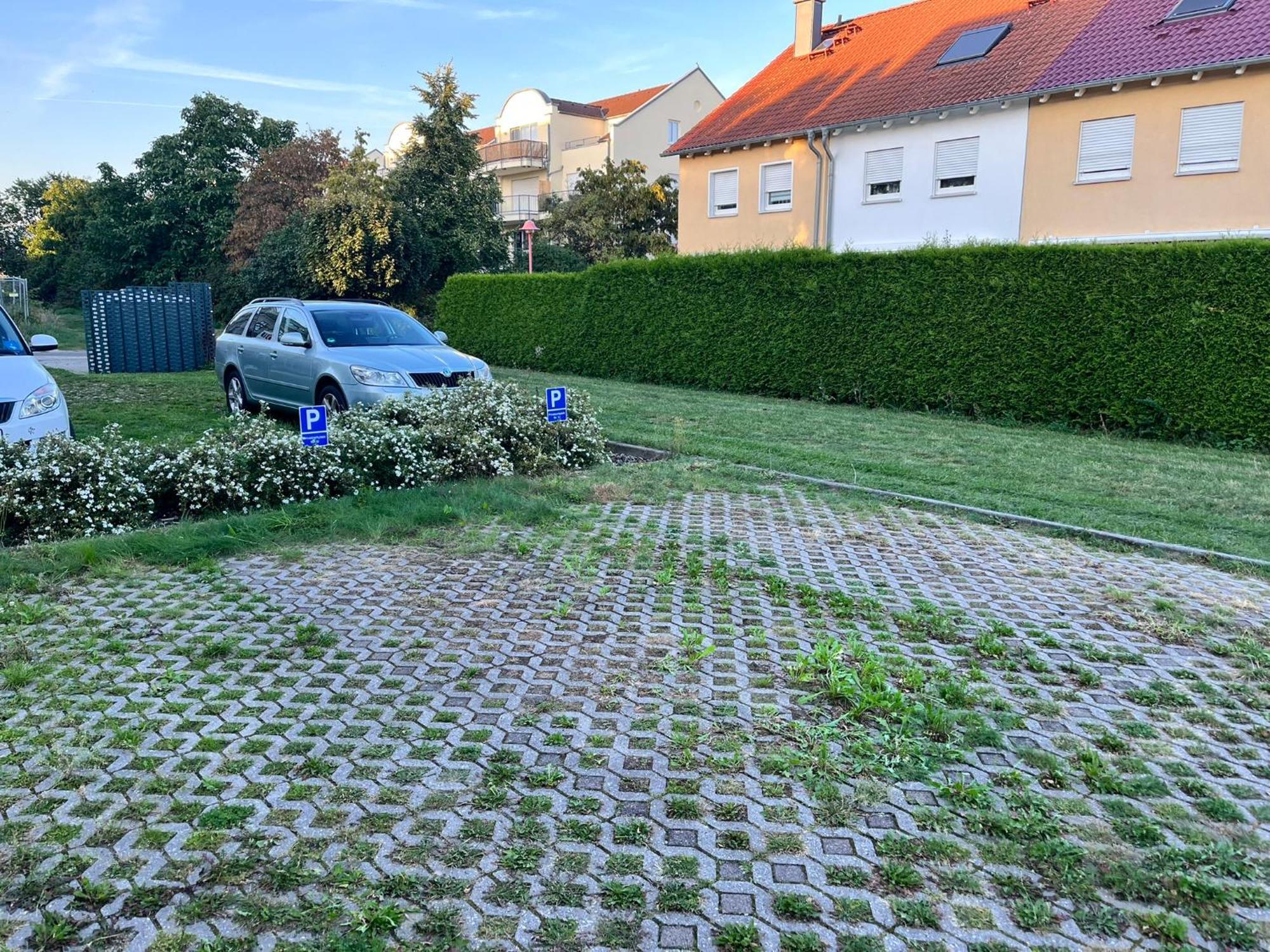 Gemuetliche Wohnung Am Muellerring Leipzig Ngoại thất bức ảnh